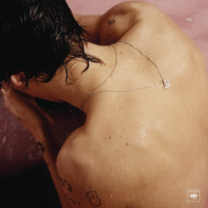 HARRY STYLES : HARRY STYLES (VINILO)