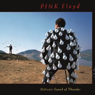 PINK FLOYD : DELICATE SOUND OF THUNDER (2CD)