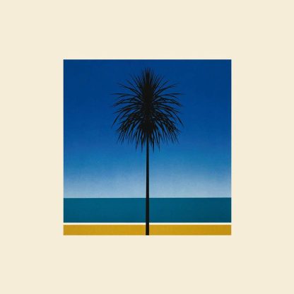 VINILO METRONOMY : THE ENGLISH RIVIERA