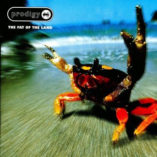 VINILO PRODIGY : THE FAT OF THE LAND (2LP)