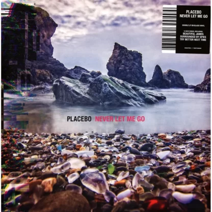 PLACEBO : NEVER LET ME GO (2LP)