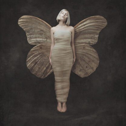 AURORA : ALL MY DEMONS GREETING ME AS A FRIEND (1LP)