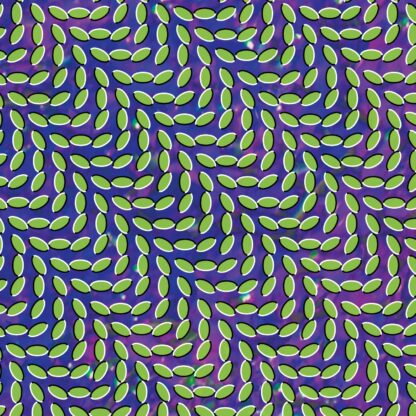 ANIMAL COLLECTIVE : MERRIWEATHER POS PAVILION (2LP)
