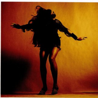THE LAST SHADOW PUPPETS : EVERYTHING YOU´VE COME TO EXPECT (CD)