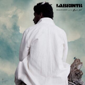LABRINTH : IMAGINATION & THE MISFIT KID (1LP CLEAR) VINILO