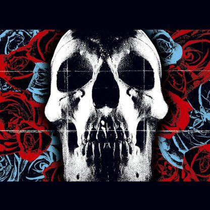DEFTONES : DEFTONES (VINILO RUBY RED) 20TH ANNIVERSARY