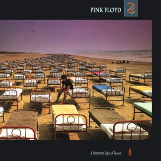 VINILO PINK FLOYD : A MOMENTARY LAPSE OF REASON