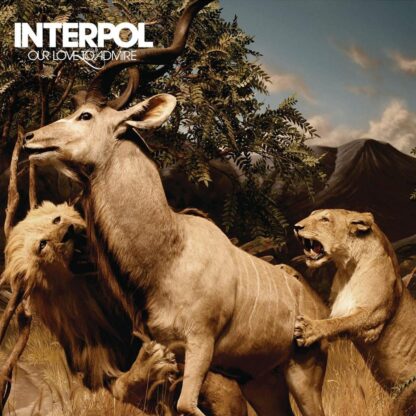 Interpol : Our Love To Admire (CD)