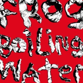 VINILO DIIV : FROG IN BOILING WATER