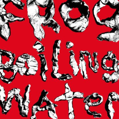 VINILO DIIV : FROG IN BOILING WATER