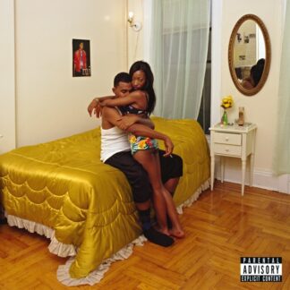 VINILO BLOOD ORANGE: FREETOWN SOUND (2LP)
