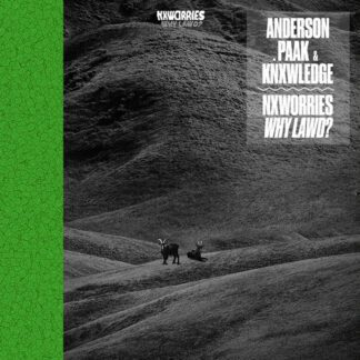 VINILO NXWORRIES : WHY LAWD?