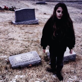VINILO CRYSTAL CASTLES : CRYSTAL CASTLES II (2LP)