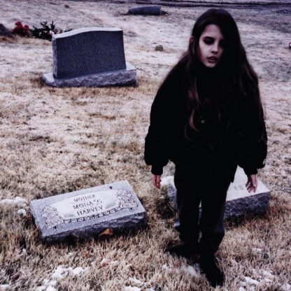 VINILO CRYSTAL CASTLES : CRYSTAL CASTLES II (2LP)