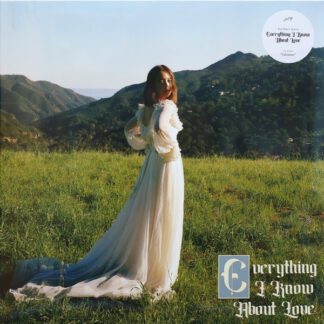 VINILO LAUFEY : EVERYTHING I KNOW ABOUT LOVE