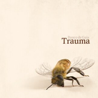 VINILO BANCO DE GAIA : TRAUMA