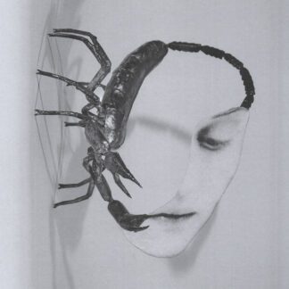 VINILO TORTOISE : TOUCH