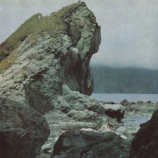 VINILO MOTORAMA : MANY NIGHTS