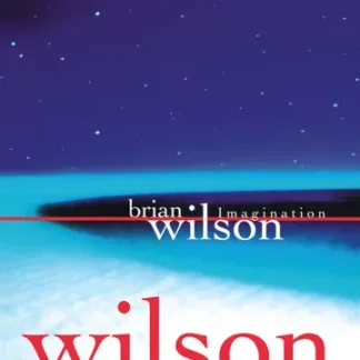 VINILO BRIAN WILSON : IMAGINATION (RSD 2026)