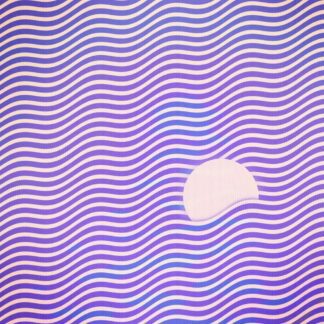 VINILO MOONCHILD : WAVES (2LP)