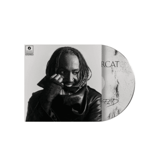 THUNDERCAT : DISTRACTED (CD)